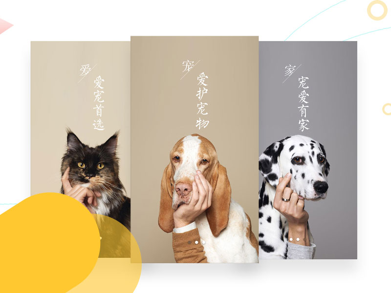 爱宠APP册子设计
